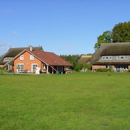 Ferienwohnung Nr 07 Og Spitzboden Борн Екстериор снимка